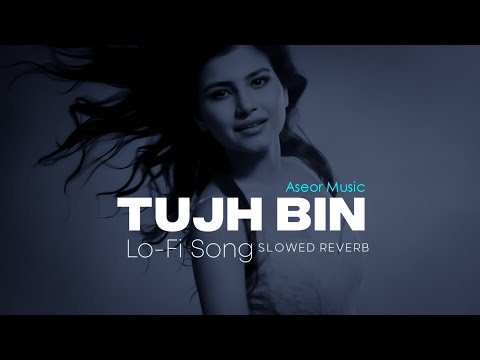 Tujh Bin Lofi Song [Slowed+Reverb] - Bharatt-Saurabh | Aseor Music |