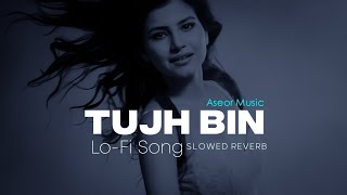 Tujh Bin Lofi Song [Slowed+Reverb] - Bharatt-Saurabh | Aseor Music | Resimi