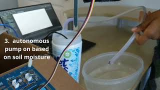 EECS 1021 Minor Project