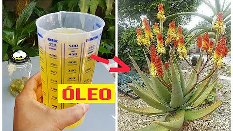 Como fazer óleo de babosa para passar na pele?