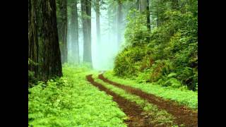 Windows Vista Sample Pictures