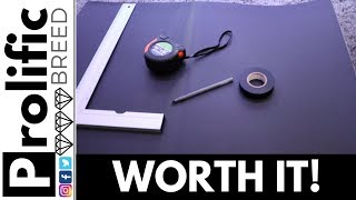 HOW TO CREATE CHEAP INSTANT AQUARIUM BACKGROUNDS
