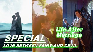 Special: Life After Marriage | Love Between Fairy and Devil | 苍兰诀 | iQIYI