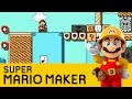 Mario Maker - 100 Mario Challenge - Expert (13)