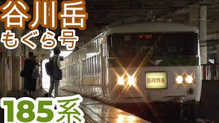 【国鉄車両】谷川岳もぐら号185系で越後湯沢まで臨時運転‼️熊谷駅4番線を発着するシーン