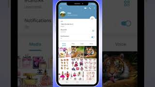 How to Know If Someone Blocked You on Telegram? #shorts screenshot 5