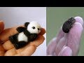 Cute Baby Animals