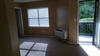 491 sq ft Classic Large Studio