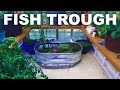 I built a fish trough in my greenhouse