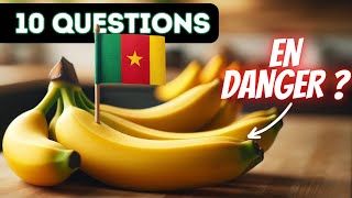 10 questions pour comprendre la filière de la banane au Cameroun