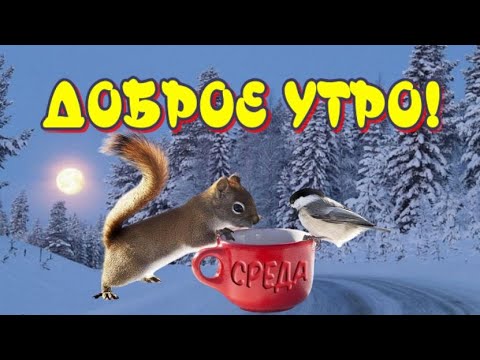 ✨Доброе Утро Среда 🥰 Желаю прекрасного Дня 😁Чудесного настроения 🎶 Музыкальная открытка