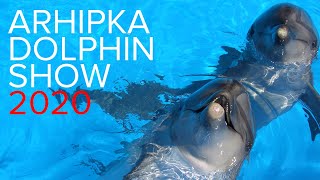 Промо Архипо-Осиповского дельфинария