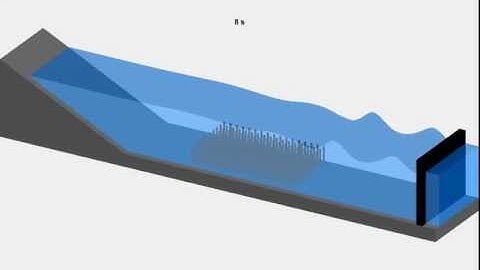 3D Animation of a wave-vegetation flume experiment