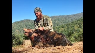 Jocassee Gorges 'Bear' Hunt