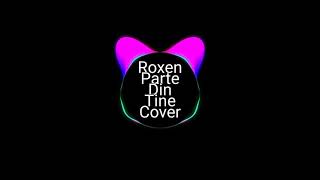 DJ Project x Roxen - Parte din tine (Cover)