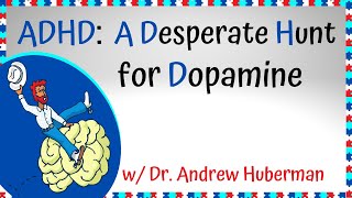 Andrew Huberman on Dopamine Levels in People with ADHD screenshot 4