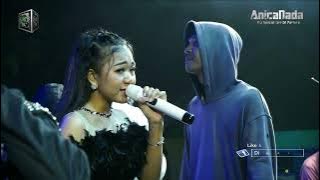 BUNGA DAHLIA DALIFFA KDI ANICA NADA MALAM 25 APRIL 2023 DESA CURUG WETAN SUSUKANLEBAK CIREBON