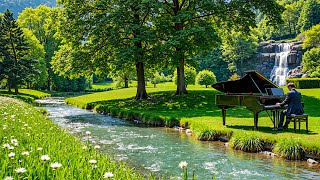 Download Lagu The Best Classical Music for Relaxation and Soul🌿 Chopin, Beethoven, Mozart, Bach, Debussy MP3