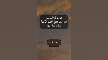 سورة الملك الآية ٢٢ الى ٢٦ بصوت الشيخ محمد صديق المنشاوي