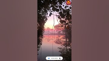 Sun Rise | beautiful nature | Scenery natural beauty #sunrise #motivationalstatusvideo #notionalmind