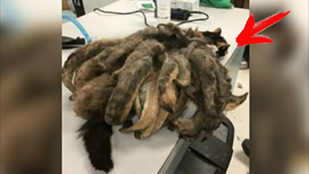 Он решил навестить пожилого родственника и увидел ЭТО под кроватью ...