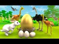 सुनहरा अंडा शुतुरमुर्ग | GOLDEN EGG Ostrich Kahani | Hindi Moral Stories Fairy Tales | Kahaniya New