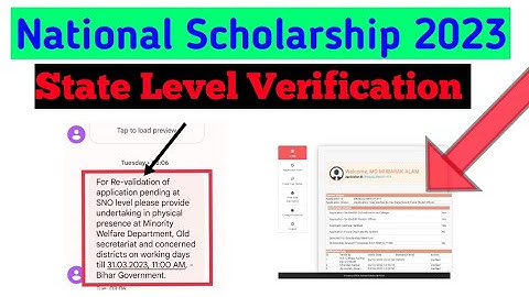 Application pending for revalidation state nodal officer|| NSP problem solution Instan||🤩