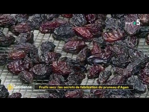 Vidéo: Comment Brasser Des Pruneaux