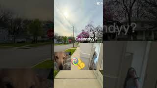 Download Lagu Caanndyy? #whitevan #candy #shorts MP3