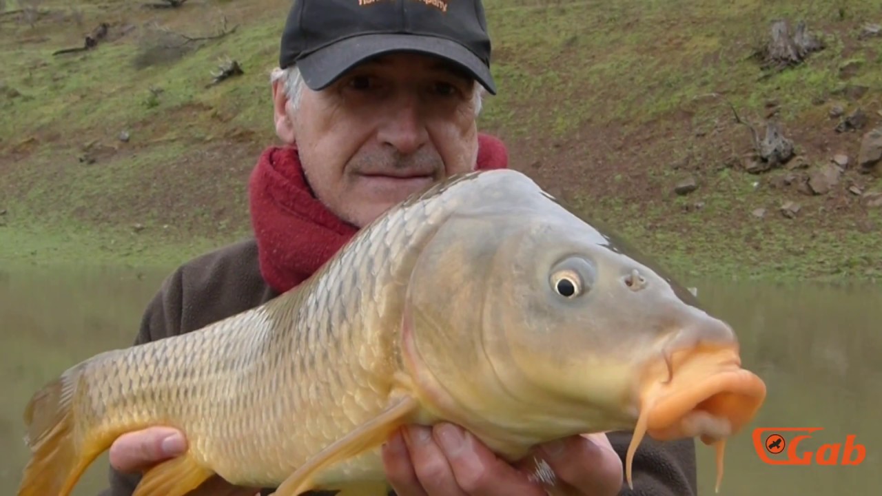 Pesca del Feeder en corriente con lombriz