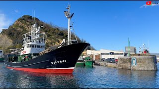 BASQUE COUNTRY  | 🛥️  Getaria Fishing Boats / Bateaux de Pêche  |  Euskadi 24 Television