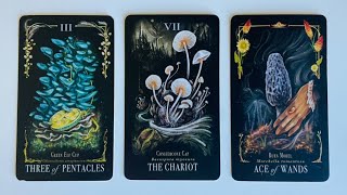 Download Lagu Thoughts, Feelings and Intentions of the Person on Your Mind - Pick a Card - Timeless Tarot MP3 Download Lagu Thoughts, Feelings and Intentions of the Person on Your Mind - Pick a Card - Timeless Tarot MP3