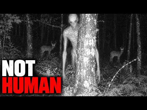 Mysterious Things Caught on Camera in the Appalachian Mountains