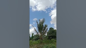 Beautiful sky #egzonibrahimi #سورة_الإخلاص #ikhlas #beautiful #quran #arabic