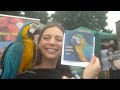 400 People Attended Mia&#39;s 6th Birthday! Feat: World Parrot Trust