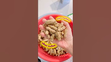 Béc cánh đập Bán kính tưới 14 mét #samrivew #bec #bectuoicay #trongcay #vlogs