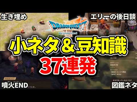 37 Trivia in a Row] A Summary of the Hidden Features of Dragon