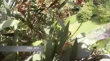 First Crash with my Phantom 2