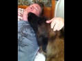 How a Leonberger wakes you up!