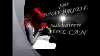 Sensi̇zli̇k Şi̇i̇r Sonay Aridici Yorum Aysel Can