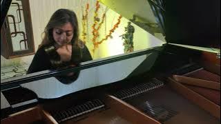 Dost Dost Na Raha | Piano Cover by Vidushi Jain