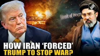 Big! Trump’s surprise shift amid US-Iran conflict; How Tehran ‘convinced’ Gulf states to stop US