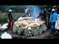 Cooking Maguey (agave) for Mezcal  at the Mezcal Real Minero in Oaxaca, Mexico