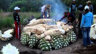 видео Del Maguey Mezcal. Алкоголь и мертвая гусеница : Brand Report