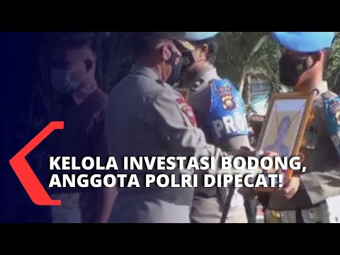 Tinggalkan Pekerjaan 30 Hari Tanpa Izin, Anggota Polri di Gorontalo Ternyata Kelola Investasi Bodong