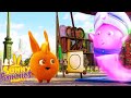 SUNNY BUNNIES - The Magical Genie | Season 6 | Cartoons for Children