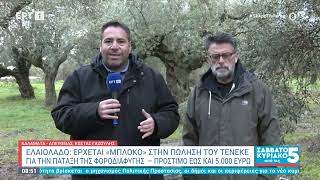Ελαιόλαδο: «Μπλόκο» στην πώληση του τενεκέ για την πάταξη της φοροδιαφυγής - Πρόστιμο έως και €5.000