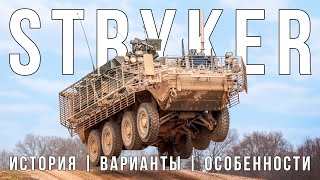 ББМ STRYKER: история и особенности