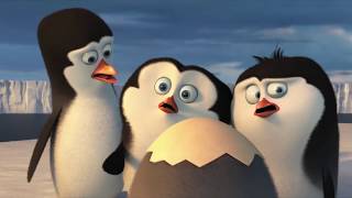 Пингвины из Мадагаскара-рождение рядового.