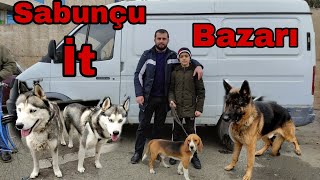 Sabunçu İt Bazarı İtlerin Satisi 12122021Sabuncuitbazari Çobanköpeği